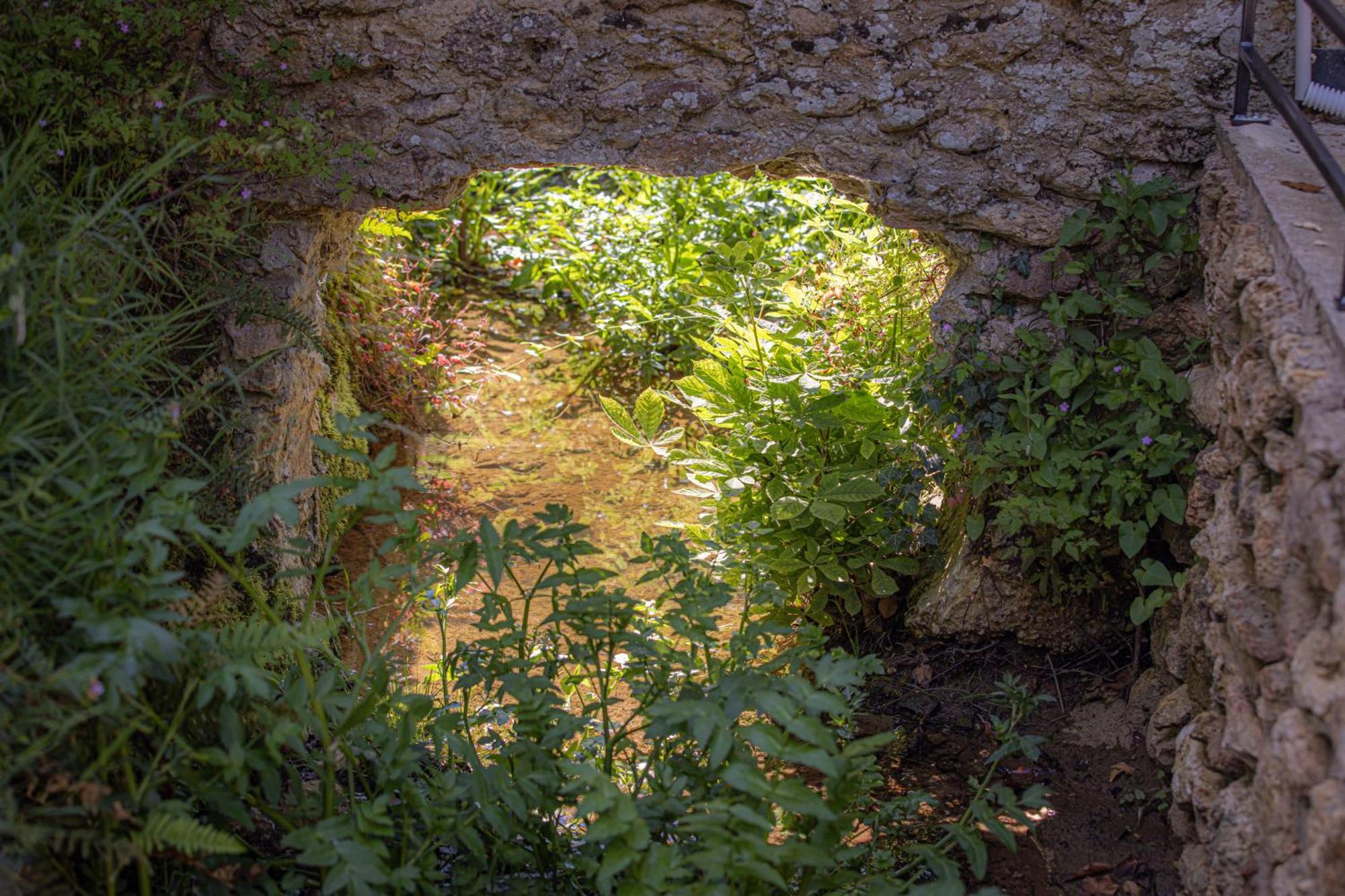 Le Ru De Biche - 20Min Disney - Spa Du 01 05 Au 01 11 - Paisible Guérard Esterno foto